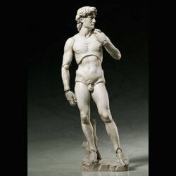 Davide di Michelangelo