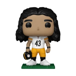 Troy Polamalu