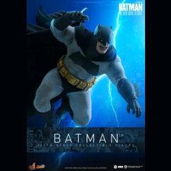 Batman: Dark Knight Returns (Deluxe)