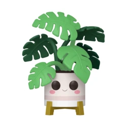 Monstera - Flora