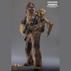 Chewbacca with Disassembled C-3PO