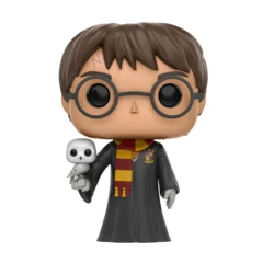 Harry Potter with Hedwig