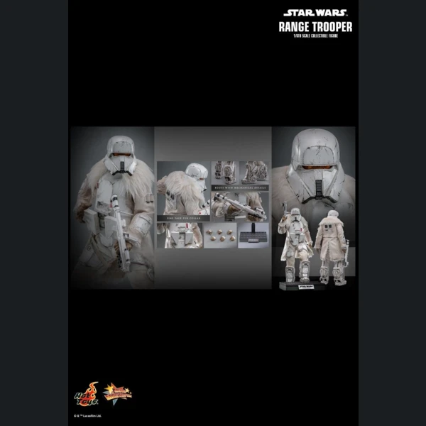 Range Trooper (Hot Toys Exclusive), Star Wars