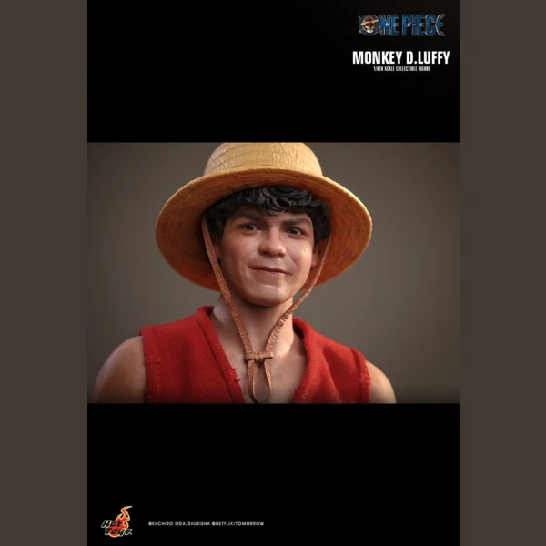 Hot Toys Monkey D. Luffy, One Piece