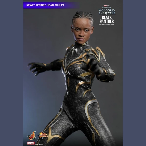 Hot Toys Black Panther, Black Panther: Wakanda Forever