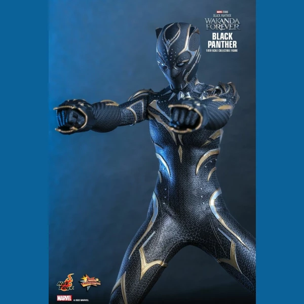 Hot Toys Black Panther, Black Panther: Wakanda Forever