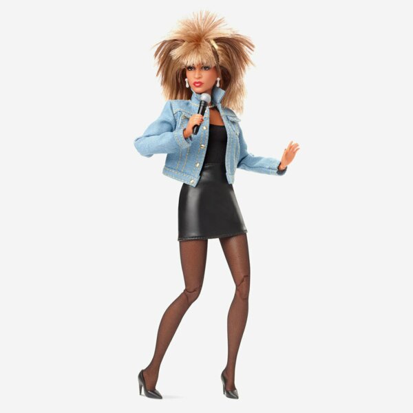 Barbie Tina Turner, Music Series