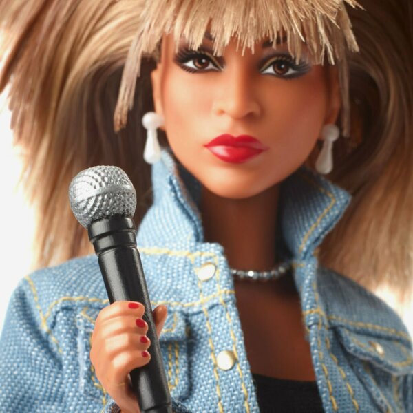 Barbie Tina Turner, Music Series