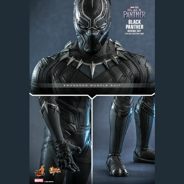Hot Toys Black Panther (Original Suit), Black Panther: Legacy