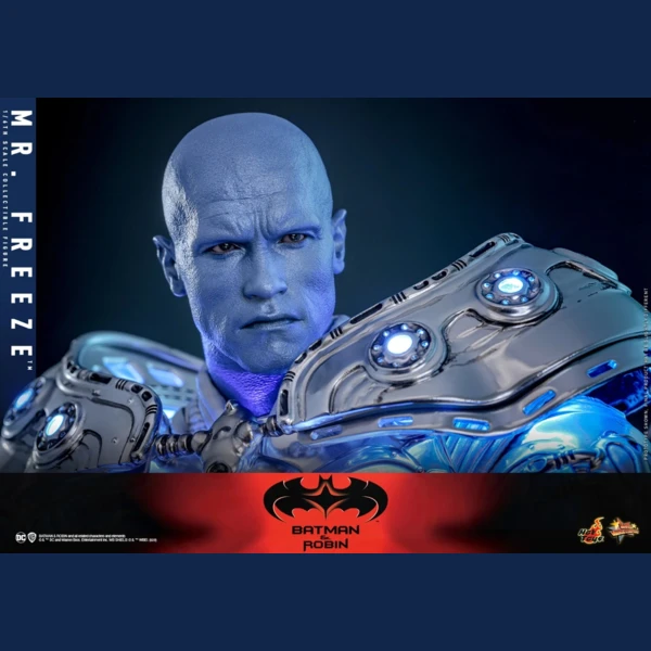 Hot Toys Batman & Robin - Mr Freeze (Deluxe)