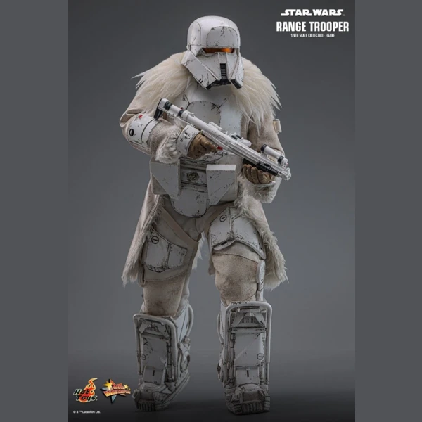 Range Trooper (Hot Toys Exclusive), Star Wars