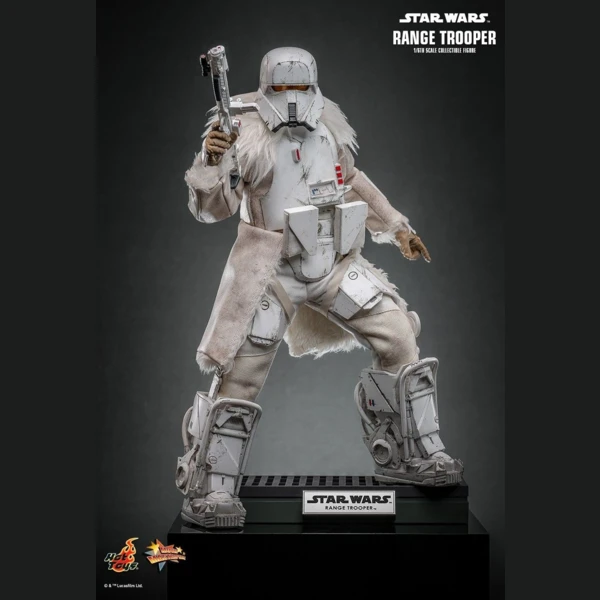 Range Trooper (Hot Toys Exclusive), Star Wars