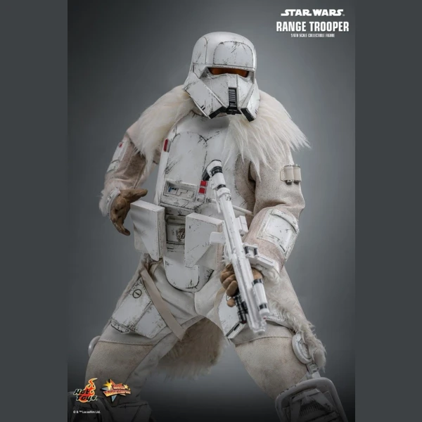 Range Trooper (Hot Toys Exclusive), Star Wars