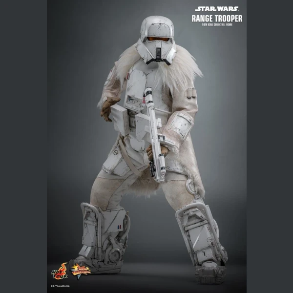 Range Trooper (Hot Toys Exclusive), Star Wars