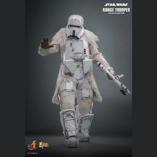 Range Trooper (Hot Toys Exclusive), Star Wars