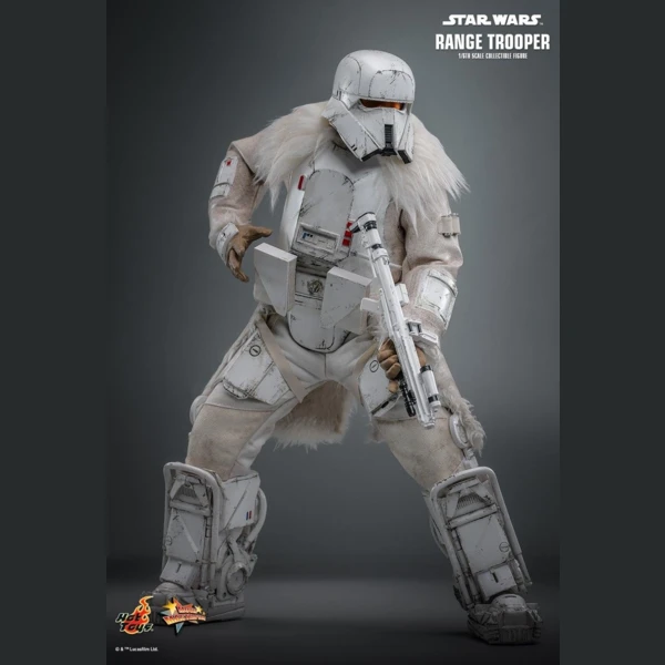 Range Trooper (Hot Toys Exclusive), Star Wars