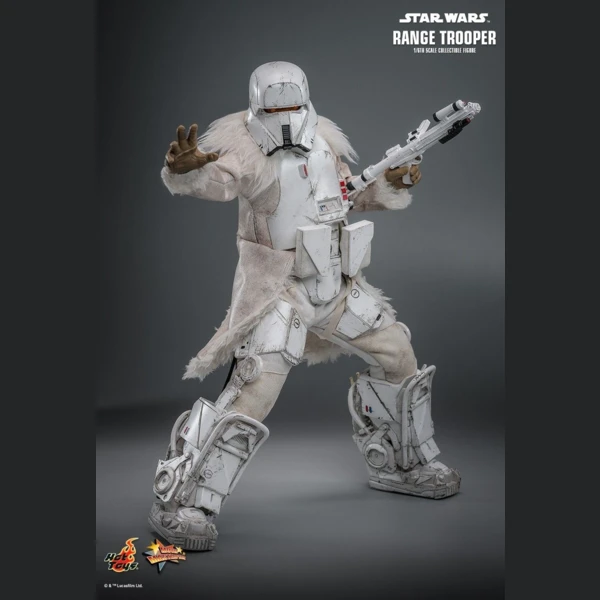 Range Trooper (Hot Toys Exclusive), Star Wars