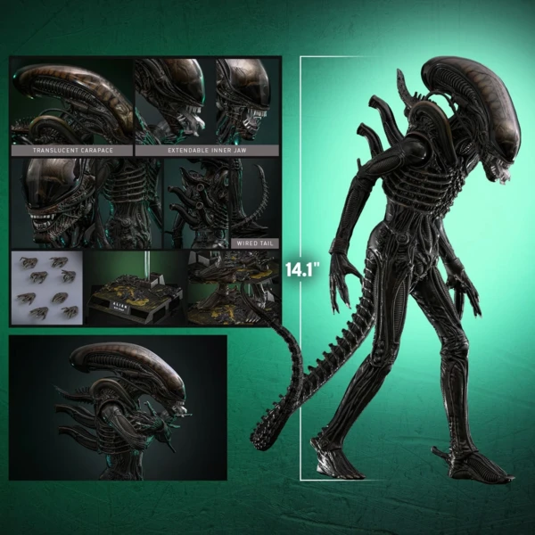 Hot Toys Alien - Alien Big Chap (Deluxe)