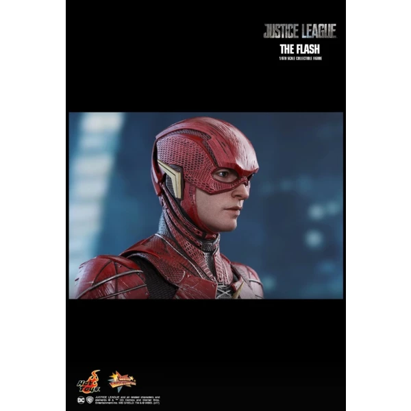 Hot Toys The Flash, Justice League