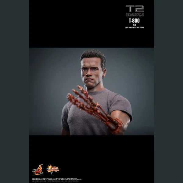 Hot Toys T-800 (2.0), Terminator 2: Judgment Day