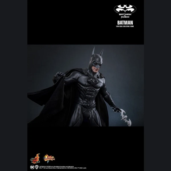 Hot Toys Batman, Batman & Robin