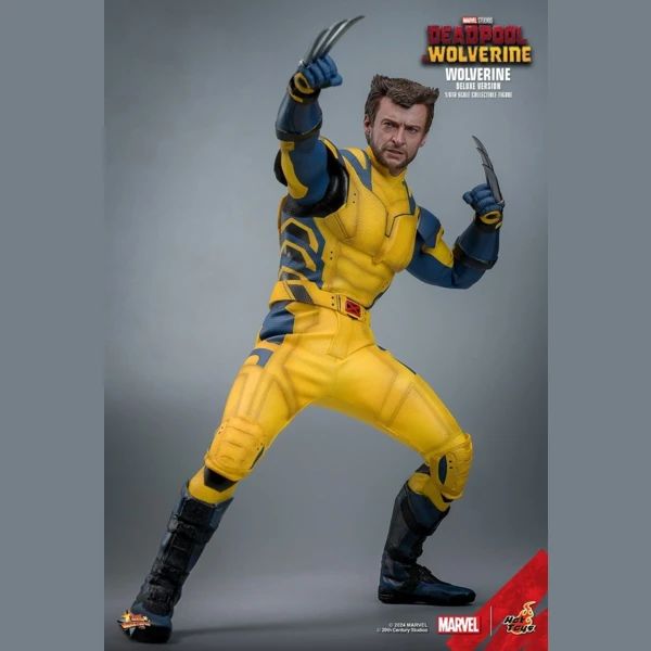 Hot Toys Wolverine (Deluxe version), Deadpool & Wolverine