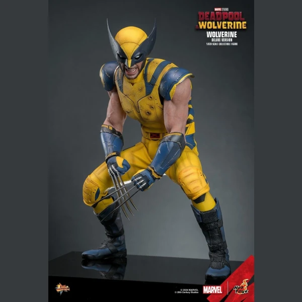 Hot Toys Wolverine (Deluxe version), Deadpool & Wolverine