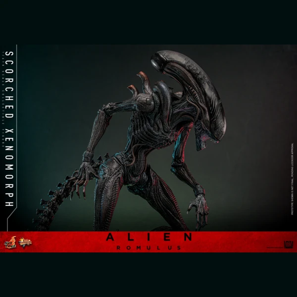 Hot Toys Scorched Xenomorph, Alien: Romulus