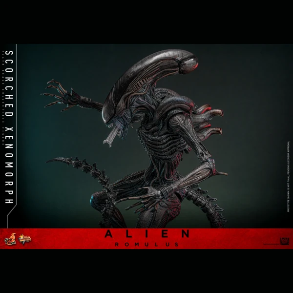 Hot Toys Scorched Xenomorph, Alien: Romulus