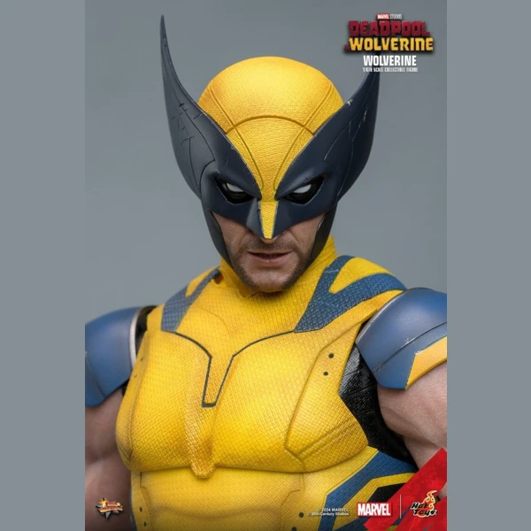 Hot Toys Wolverine, Deadpool & Wolverine
