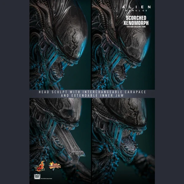 Hot Toys Scorched Xenomorph, Alien: Romulus