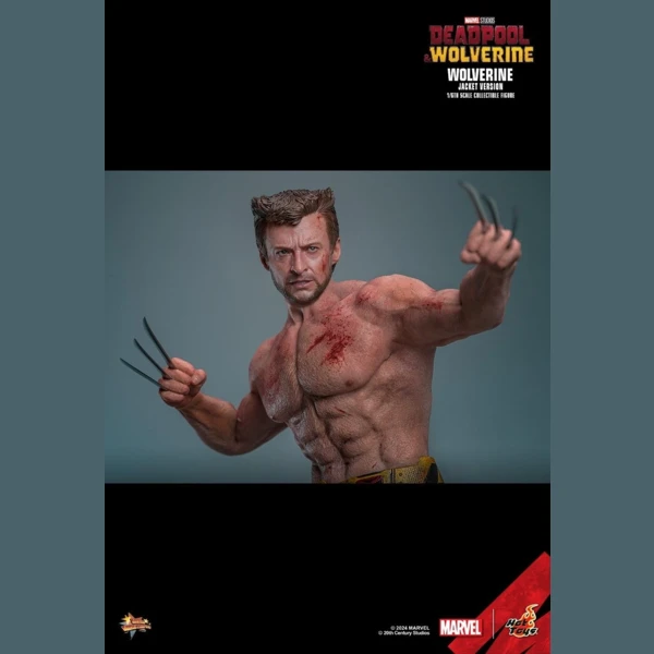 Hot Toys Wolverine (Jacket Version), Deadpool & Wolverine
