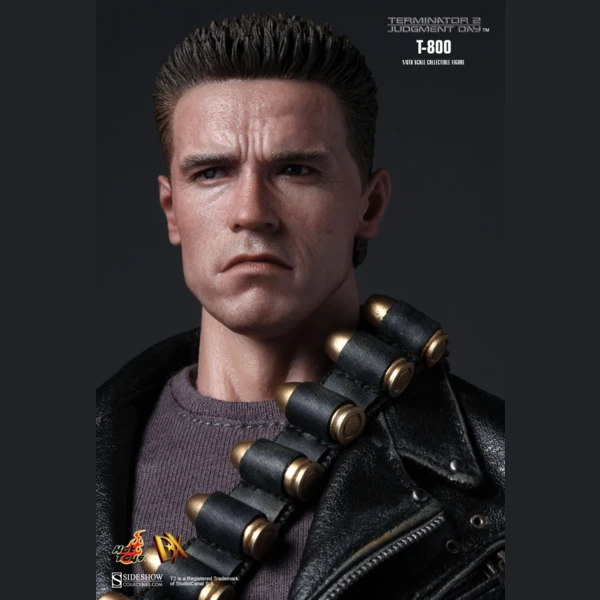 Hot Toys T-800, Terminator 2: Judgment Day