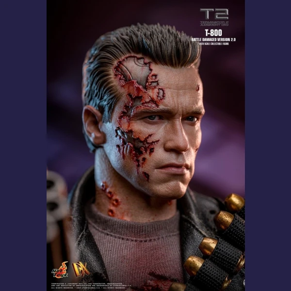 Hot Toys T-800 (Battle Damaged Version 2.0), Terminator 2: Judgment Day