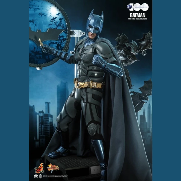 Hot Toys Batman, WB 100