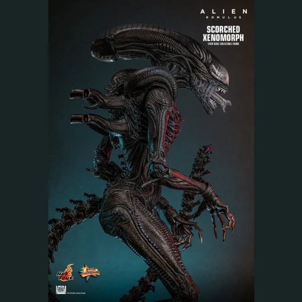 Hot Toys Scorched Xenomorph, Alien: Romulus