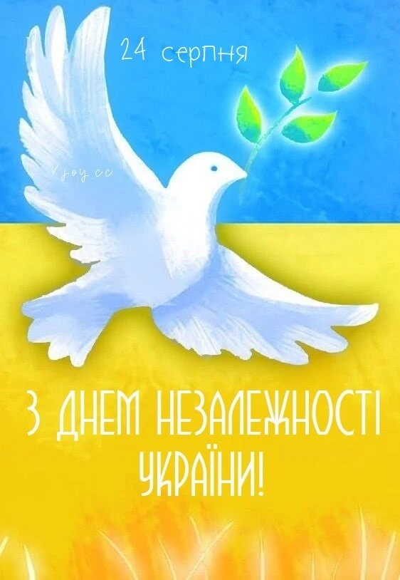 З Днем Незалежності, Незламні!❤️🕊️✊🏻🇺🇦