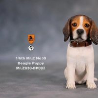 Beagle puppy 1/6 by Mr.Z (original)