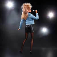 Meet the "Queen of Rock and Roll" Tina Turner!