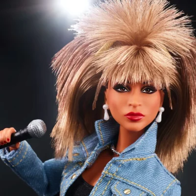 Meet the "Queen of Rock and Roll" Tina Turner!